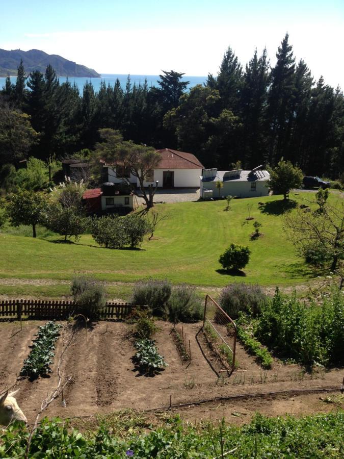 Bed and Breakfast Waipiro Bay Paradise Te Puia Exteriér fotografie