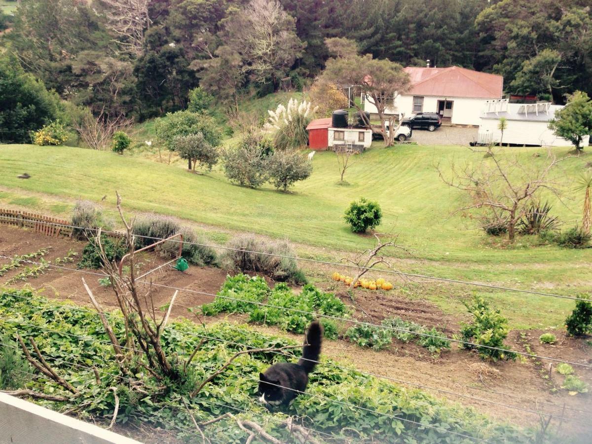 Bed and Breakfast Waipiro Bay Paradise Te Puia Exteriér fotografie